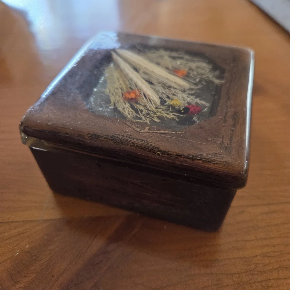 70s Wood Box With Resin Top That Has Dried Flowers And A Lady Bug